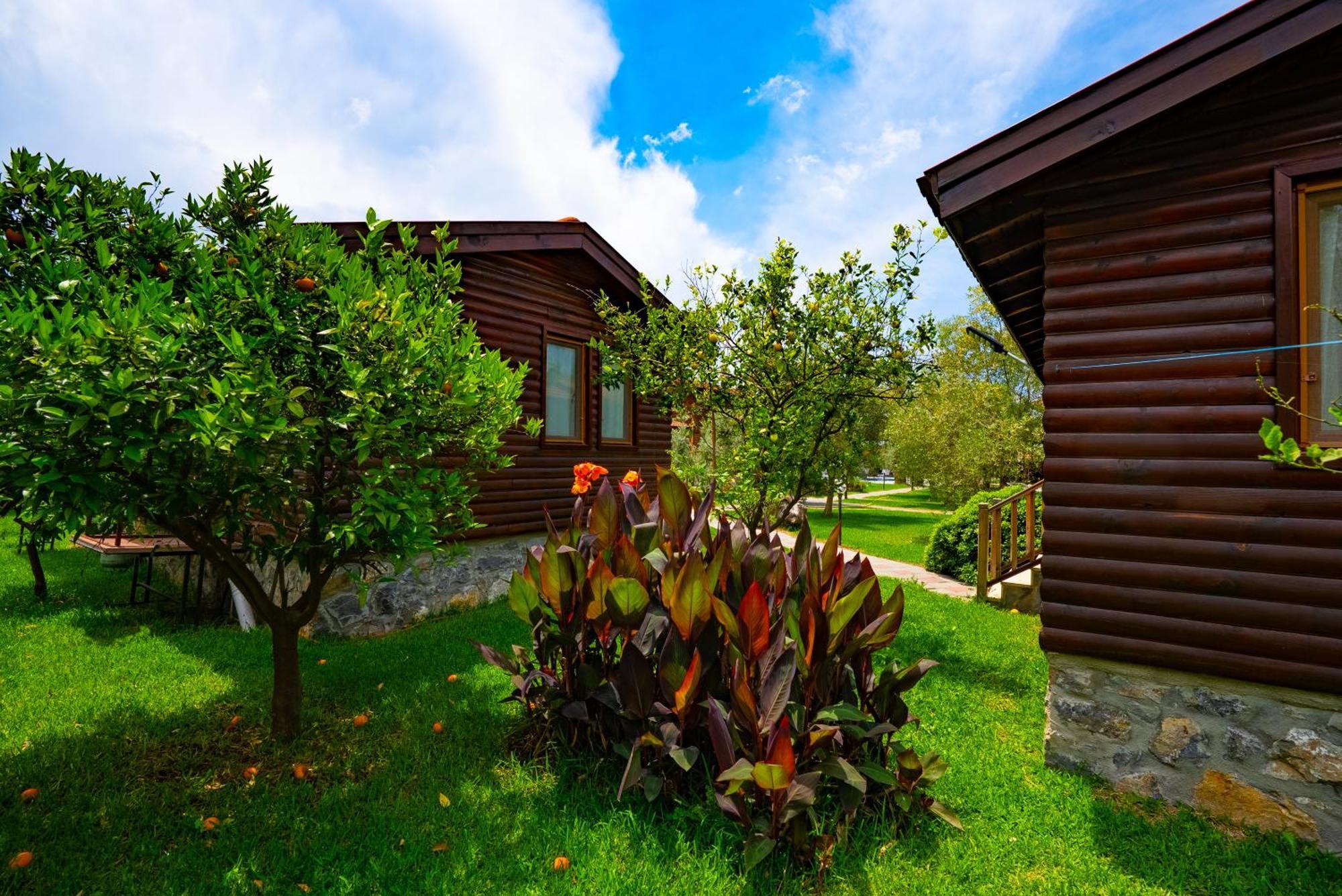 Defne Olive Gardens, Koca Calis, Fethiye - Previously Defne Pansiyon 外观 照片